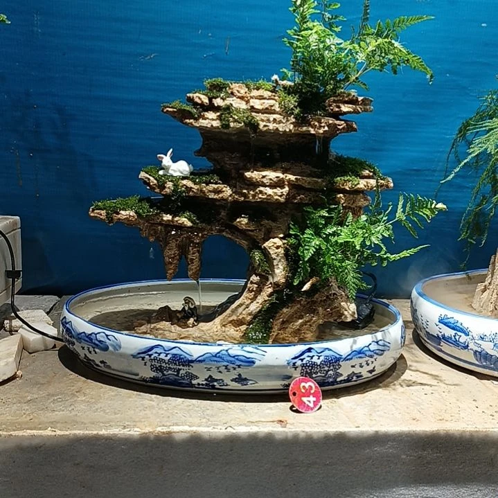 大**影吸水石盆景