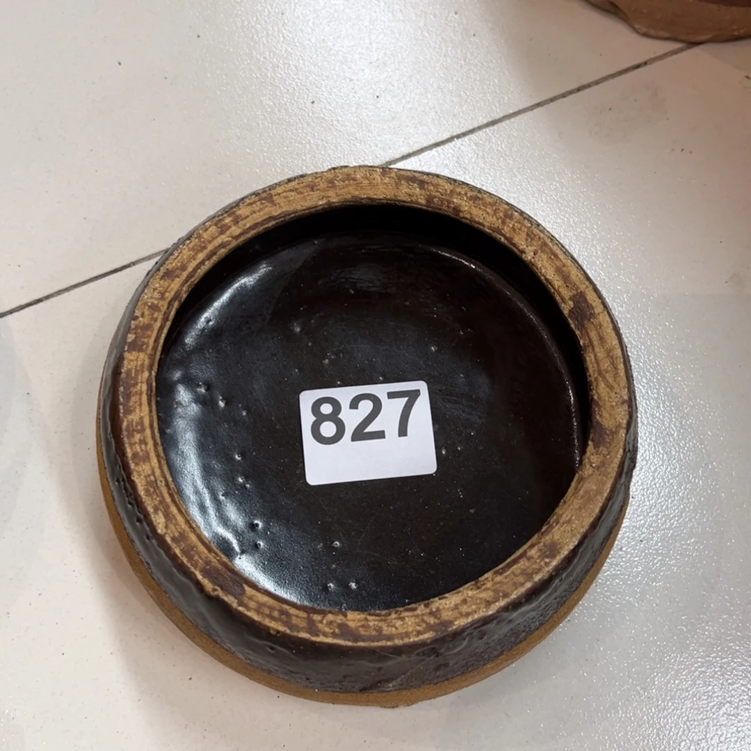 求***鹏1开播福利一物一拍827号