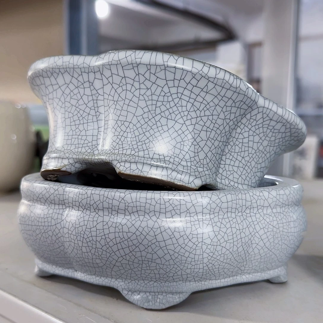 陶瓷花盆特价上新