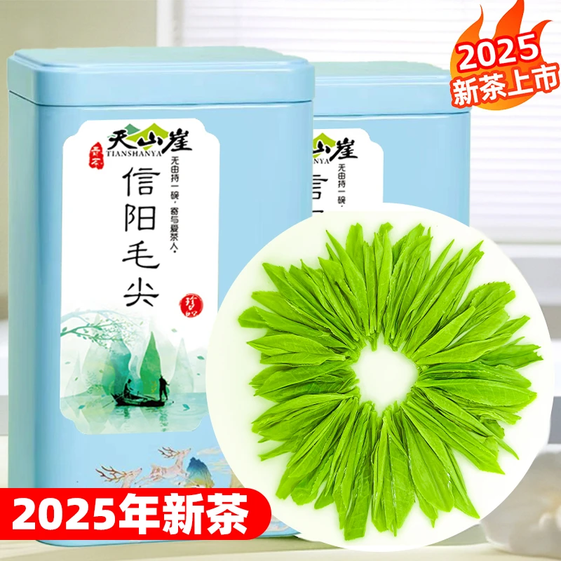 2025新茶高山正宗信阳毛尖茶明前嫩芽浓香型手工茶叶浓香型礼盒装