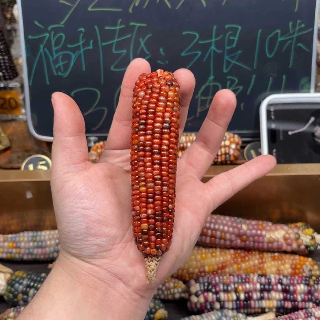 柏香籽/百香籽吊坠性****?