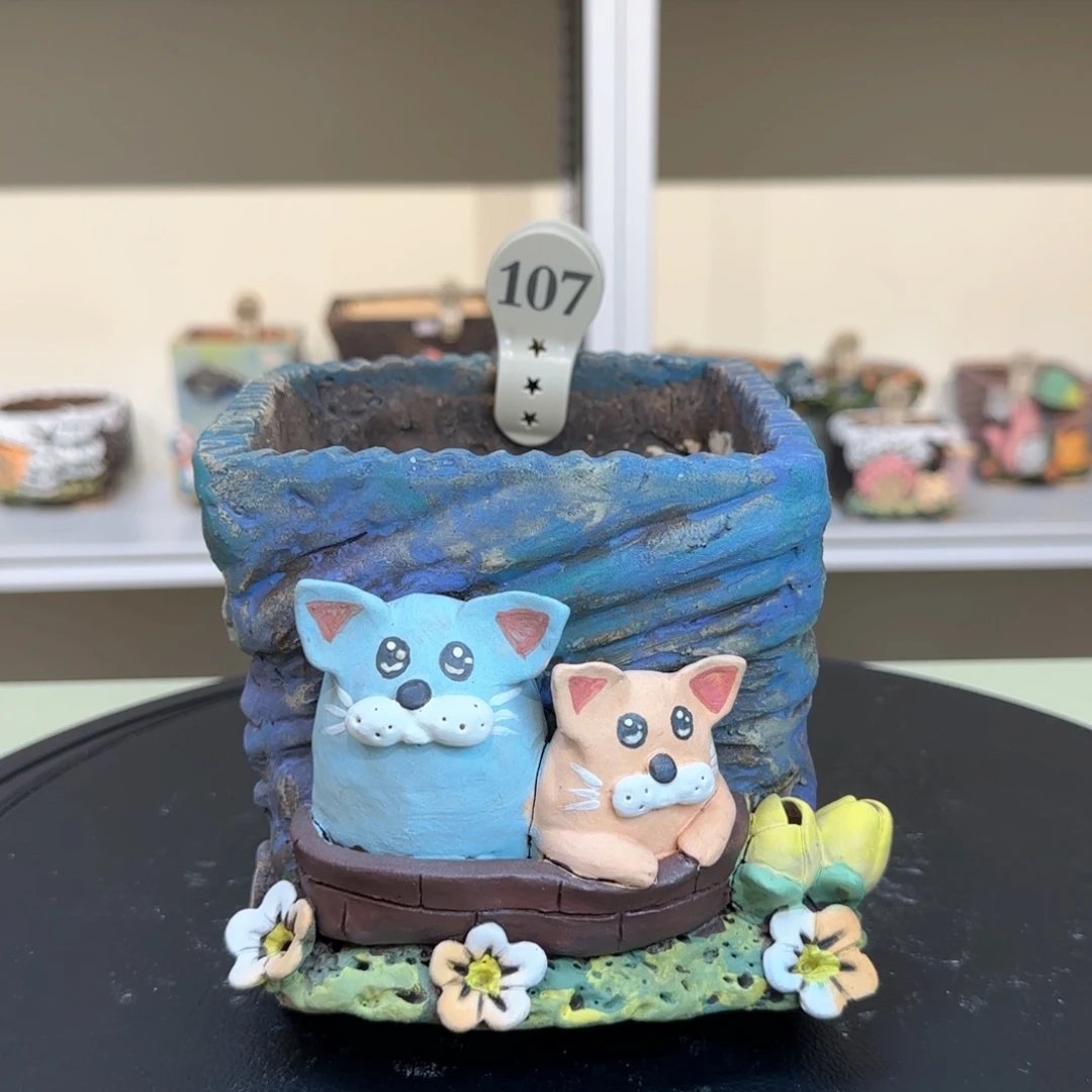 107 【闪购】多肉花盆