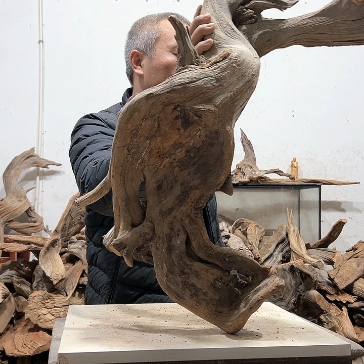 柏木河****播我们的生活也是