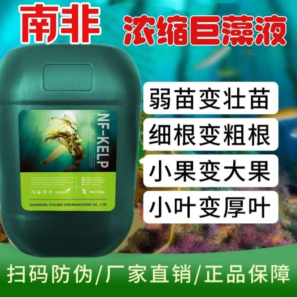 南非海藻酸液浓缩液膨大增产增甜增香养根植物剂一桶25公斤包邮