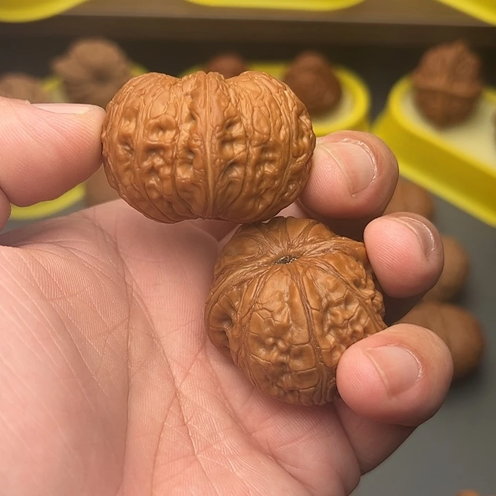 快****核桃42尺精配毕业元宝