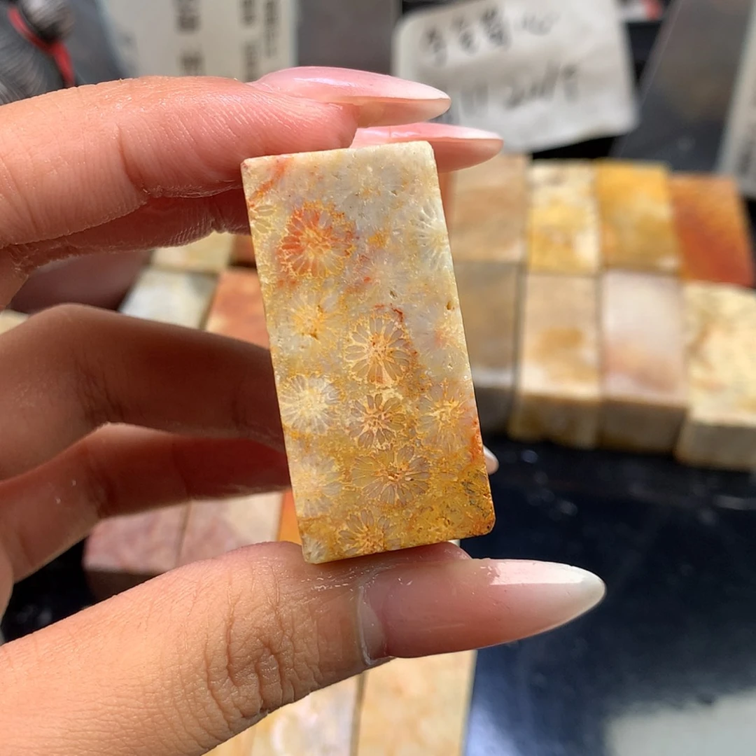 【闪购商品】颈饰未镶嵌硅化珊瑚（珊瑚玉）小**啊