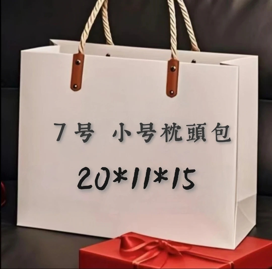 Y 007号 女士 ins拉链单肩包防脏轻奢风经典小号枕头包 A6507-12