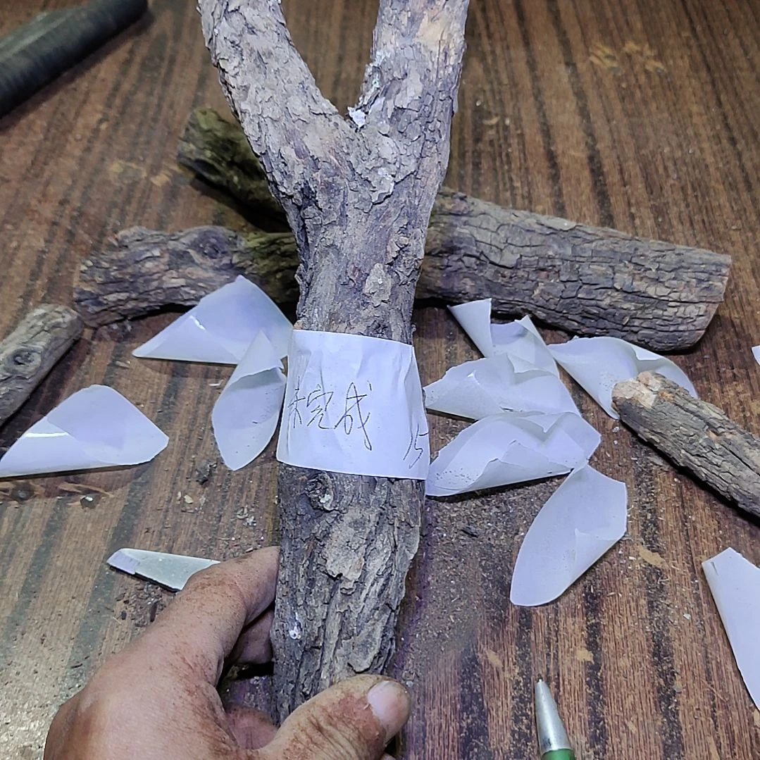 未***成火琉璃原杈，不保沉水，慎拍！