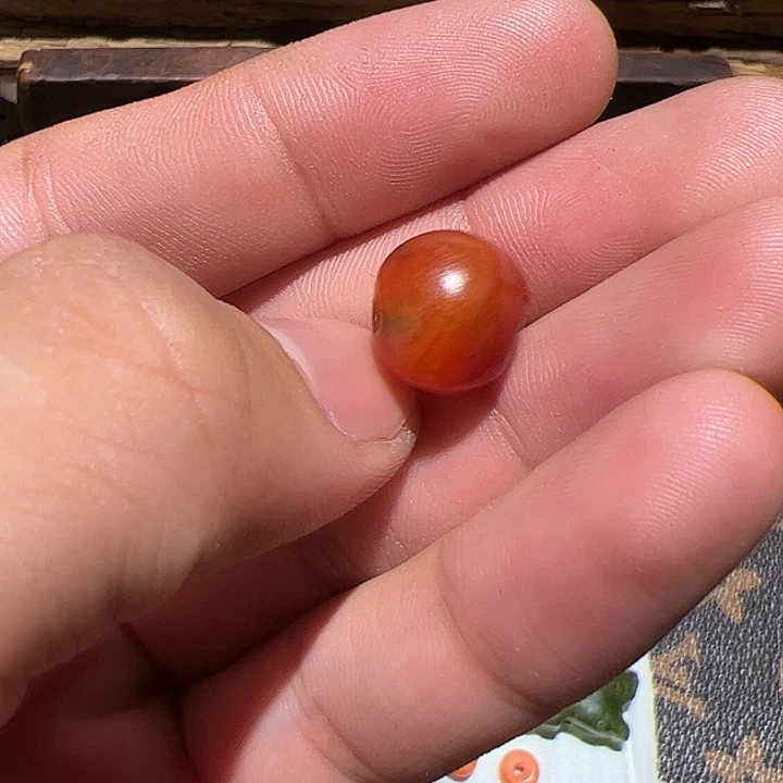 香榧木科**诉你是不是也是