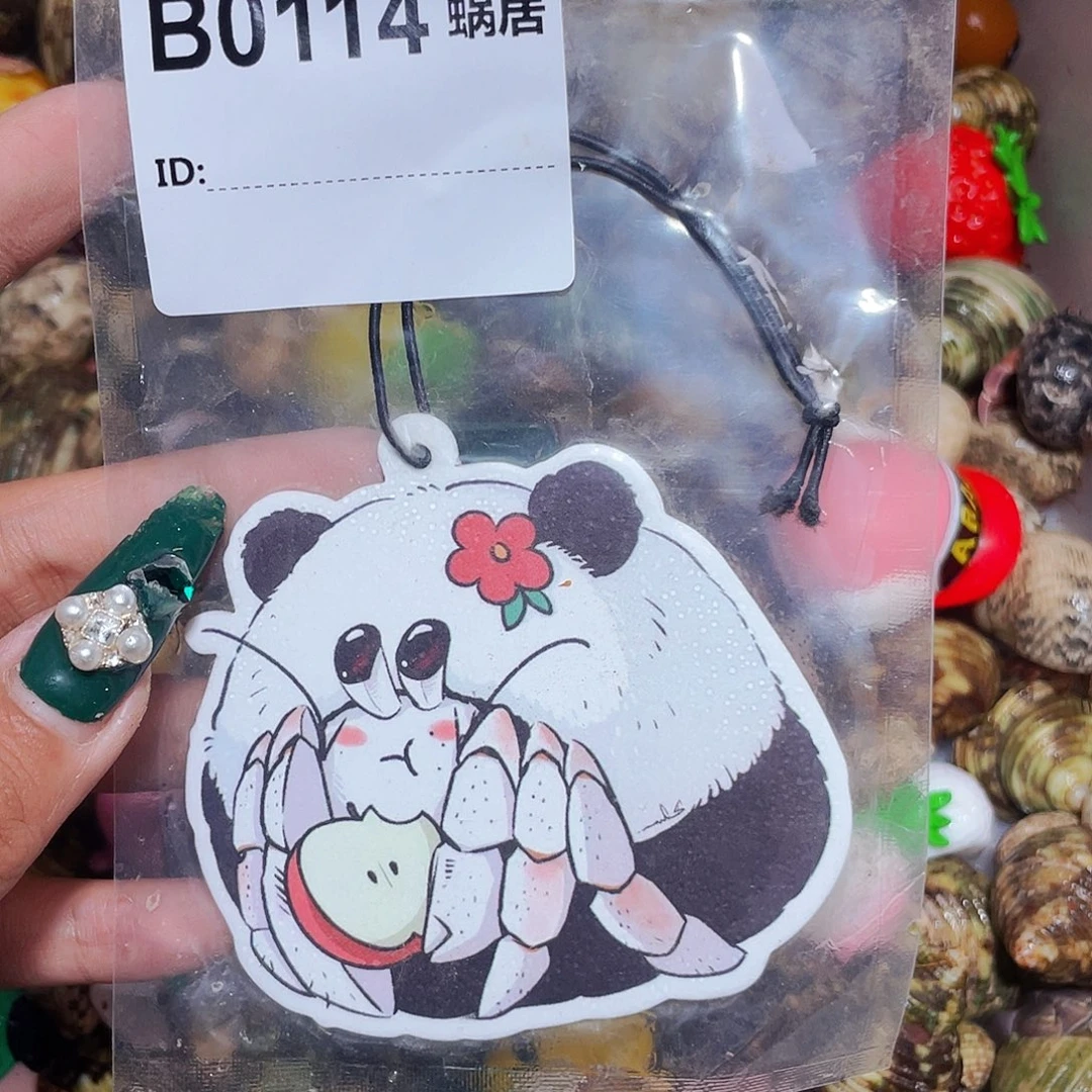 寄居蟹寄居蟹0114