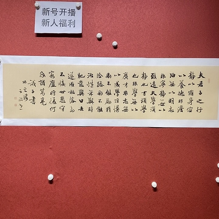 书法夫君子直播大漏