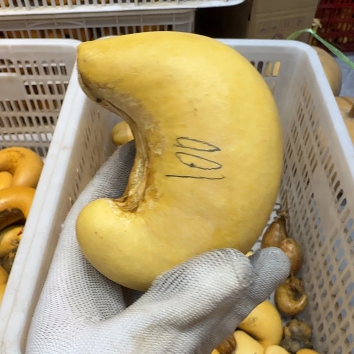 *****哈哈哈哈哈哈哈哈哈里