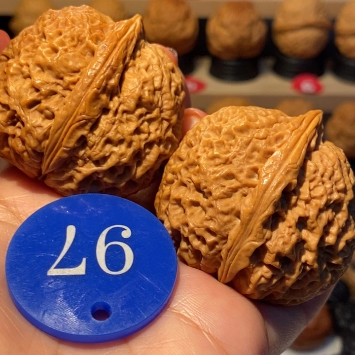 19号链接龙鳞铁狮子46尺寸，大克重72克