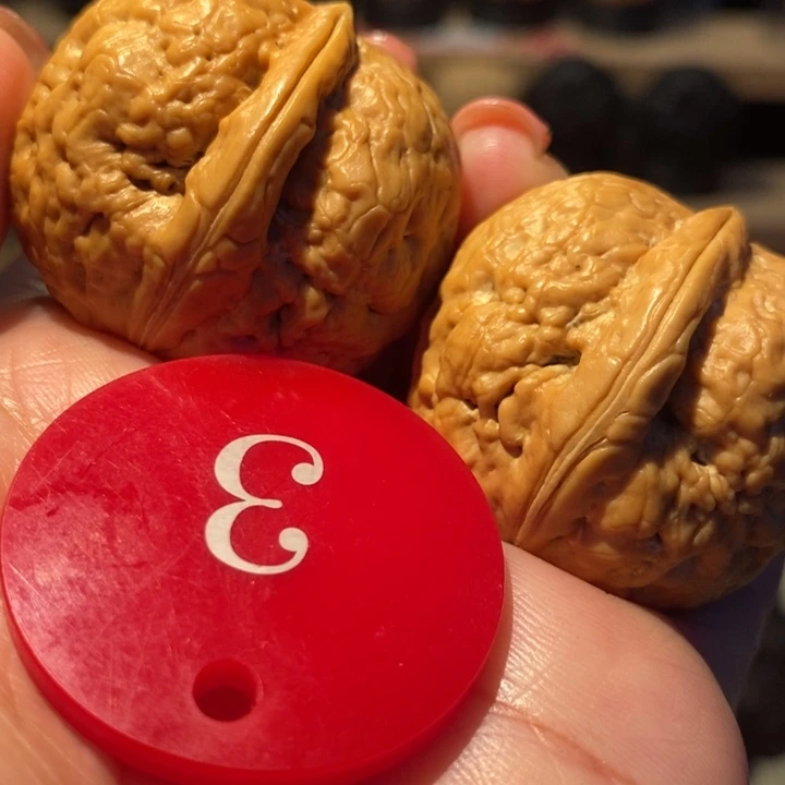 木质类粗筋海豚37尺寸