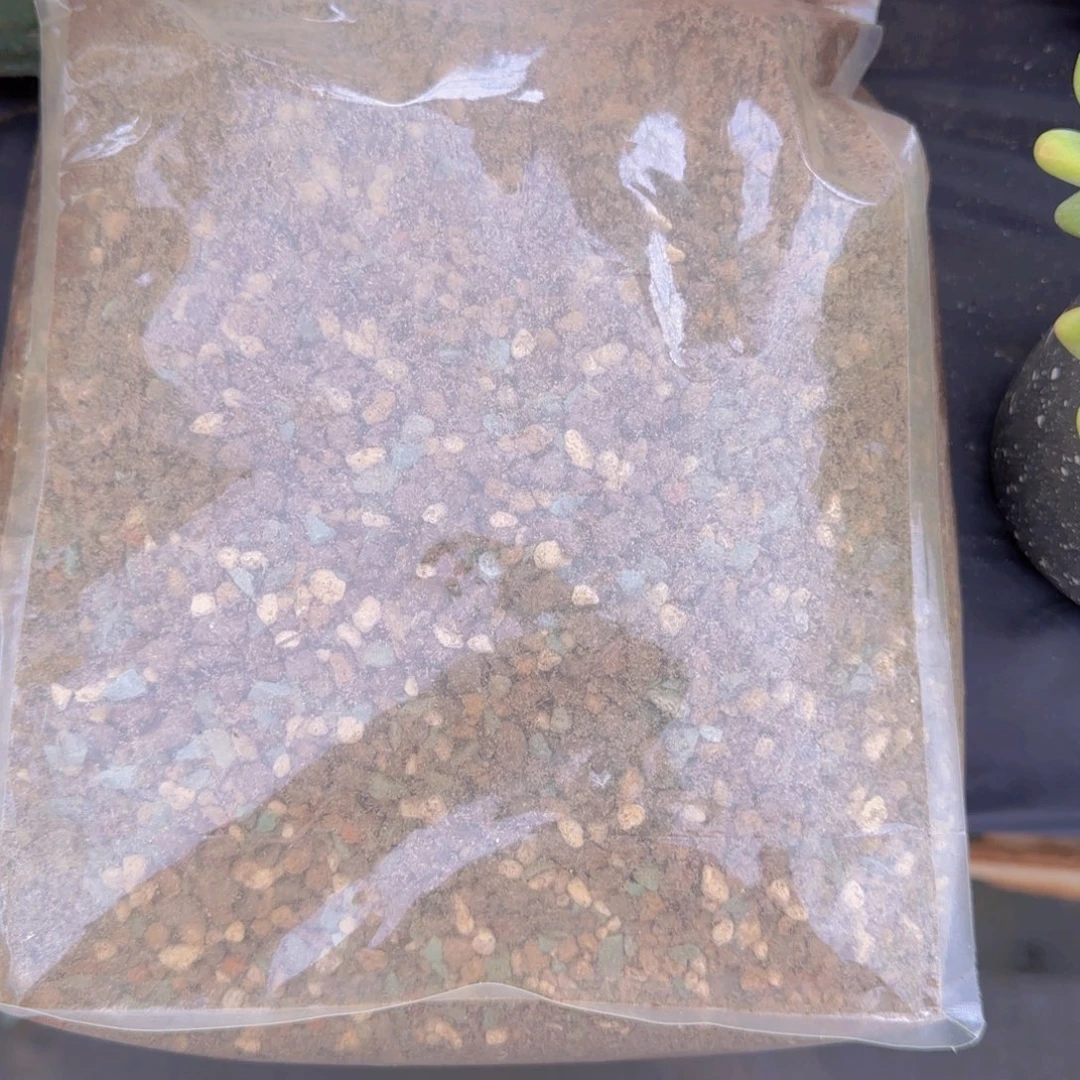 多肉植物一物一拍