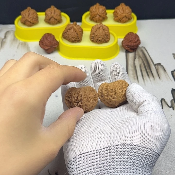 核桃核桃等经济作物的栽培