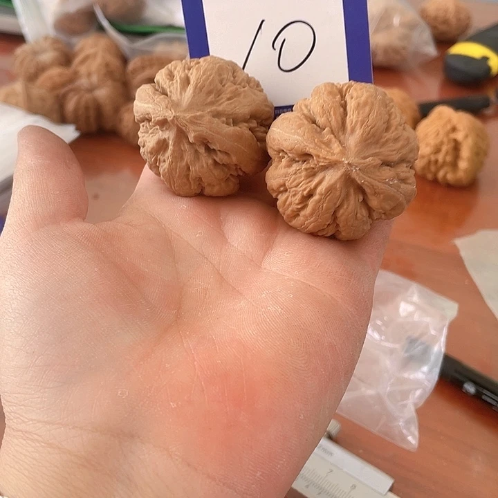 文玩核桃把件樂*文玩10