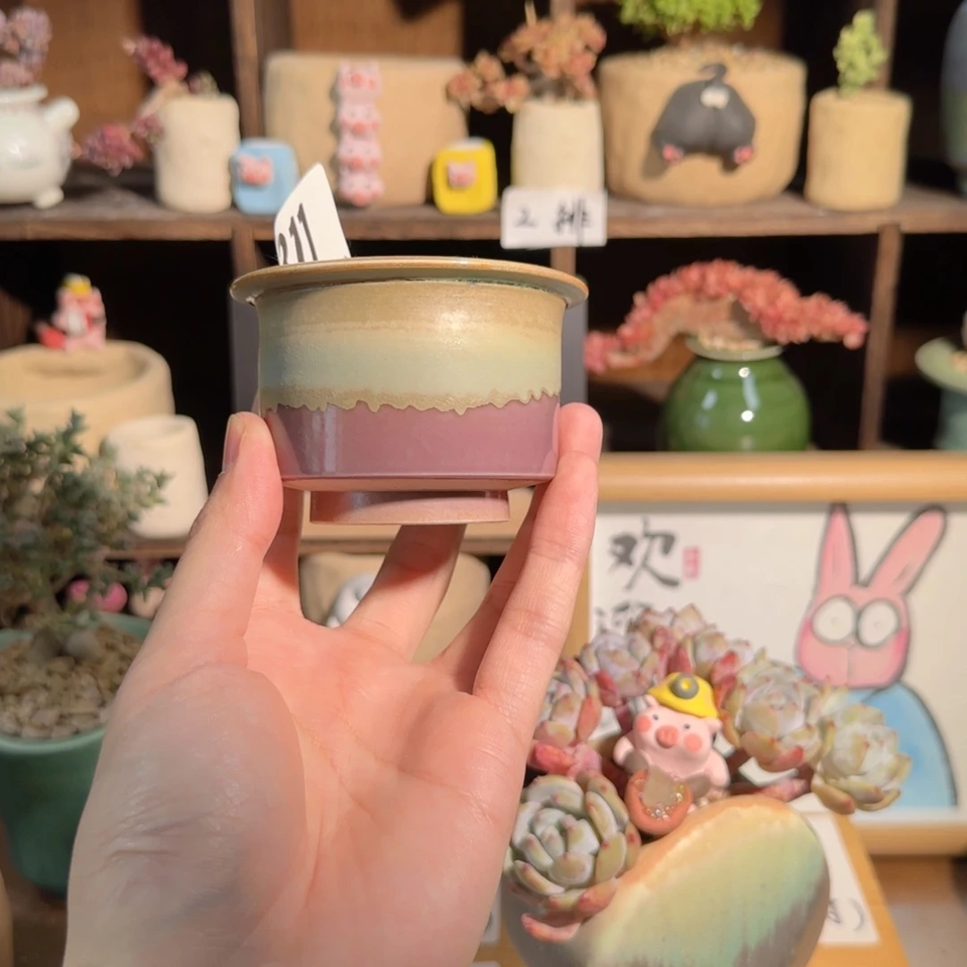 311 口5默认微瑕非偏远两单包邮