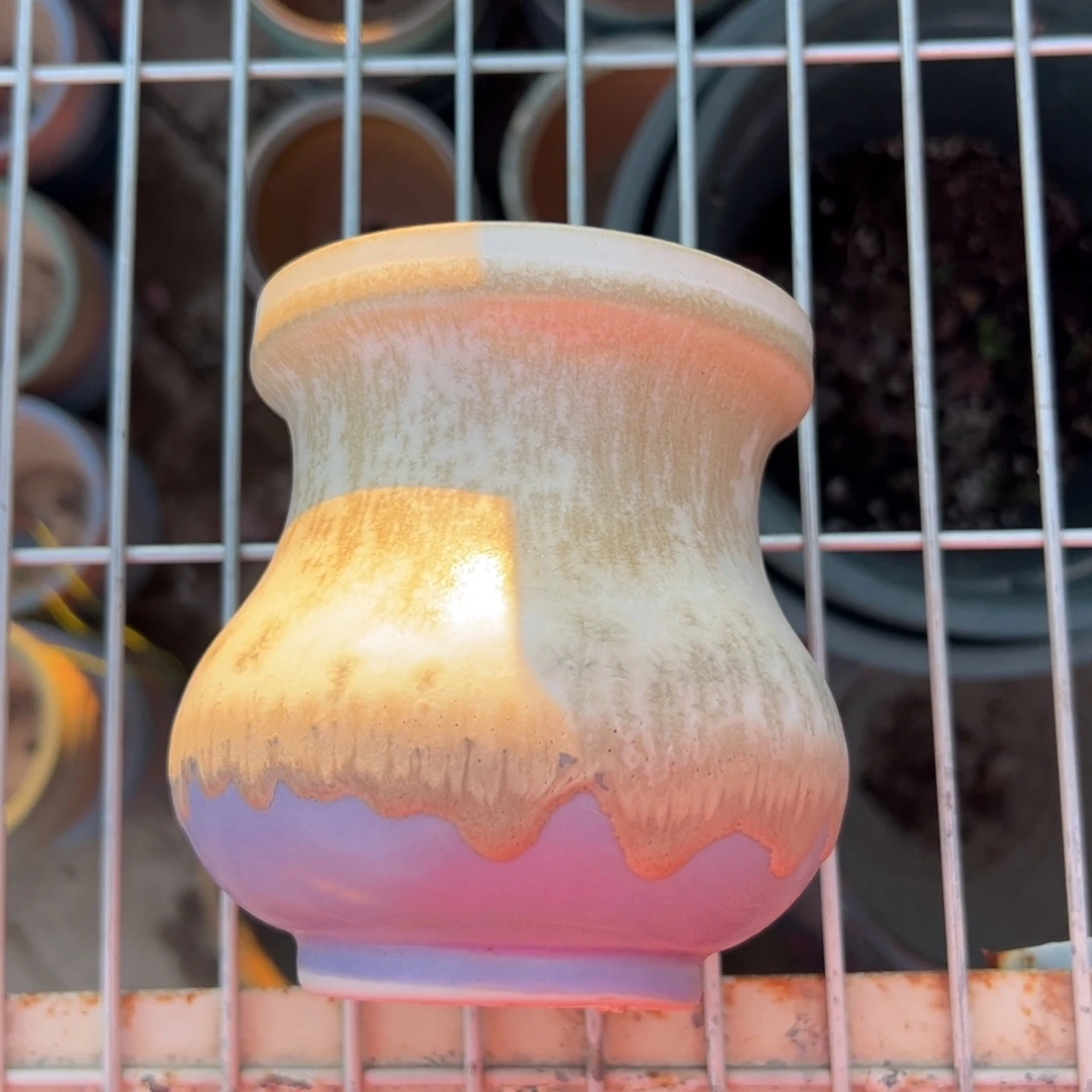 新疆包邮 一只中号盆