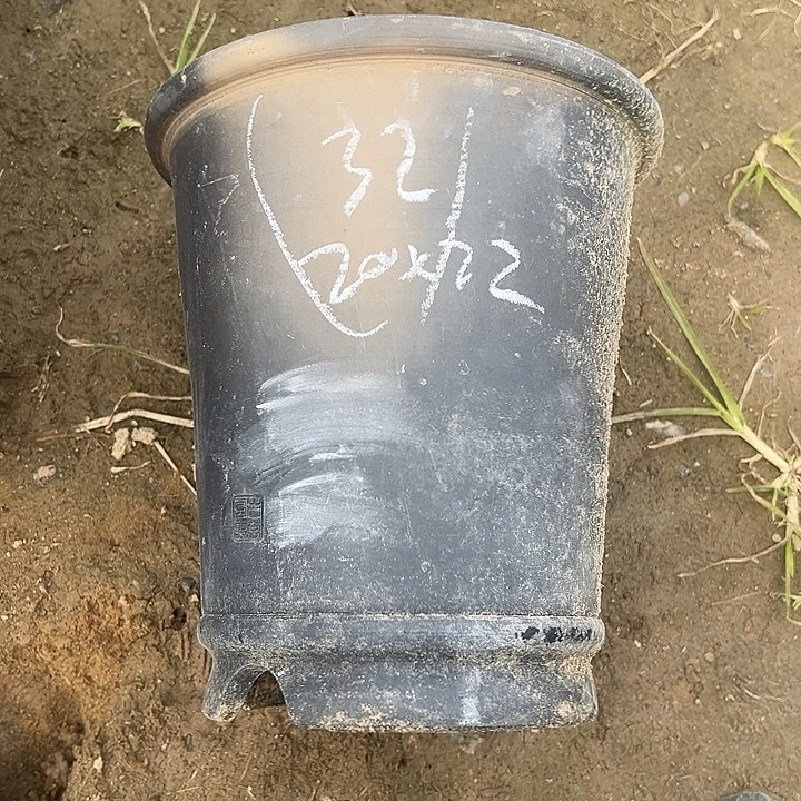 特价色差直筒口20高度22