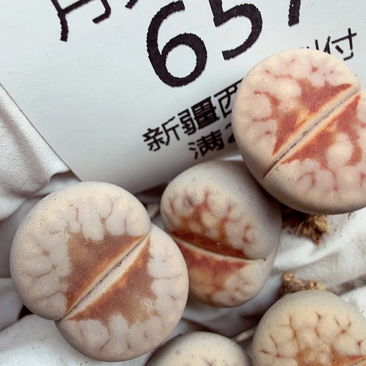 好是坏都无所谓我真的657