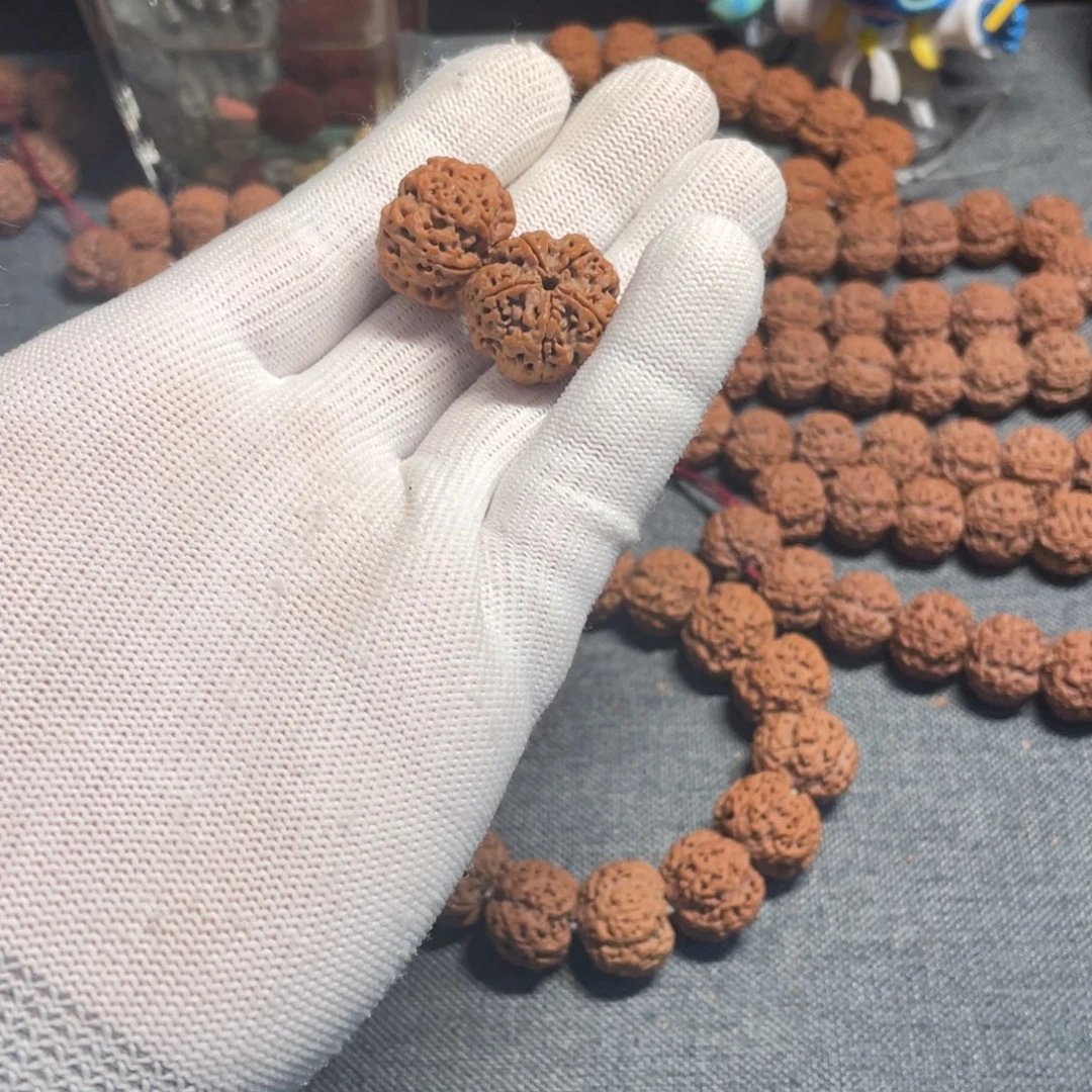 ◆***里金刚菩提手串备籽 2 颗