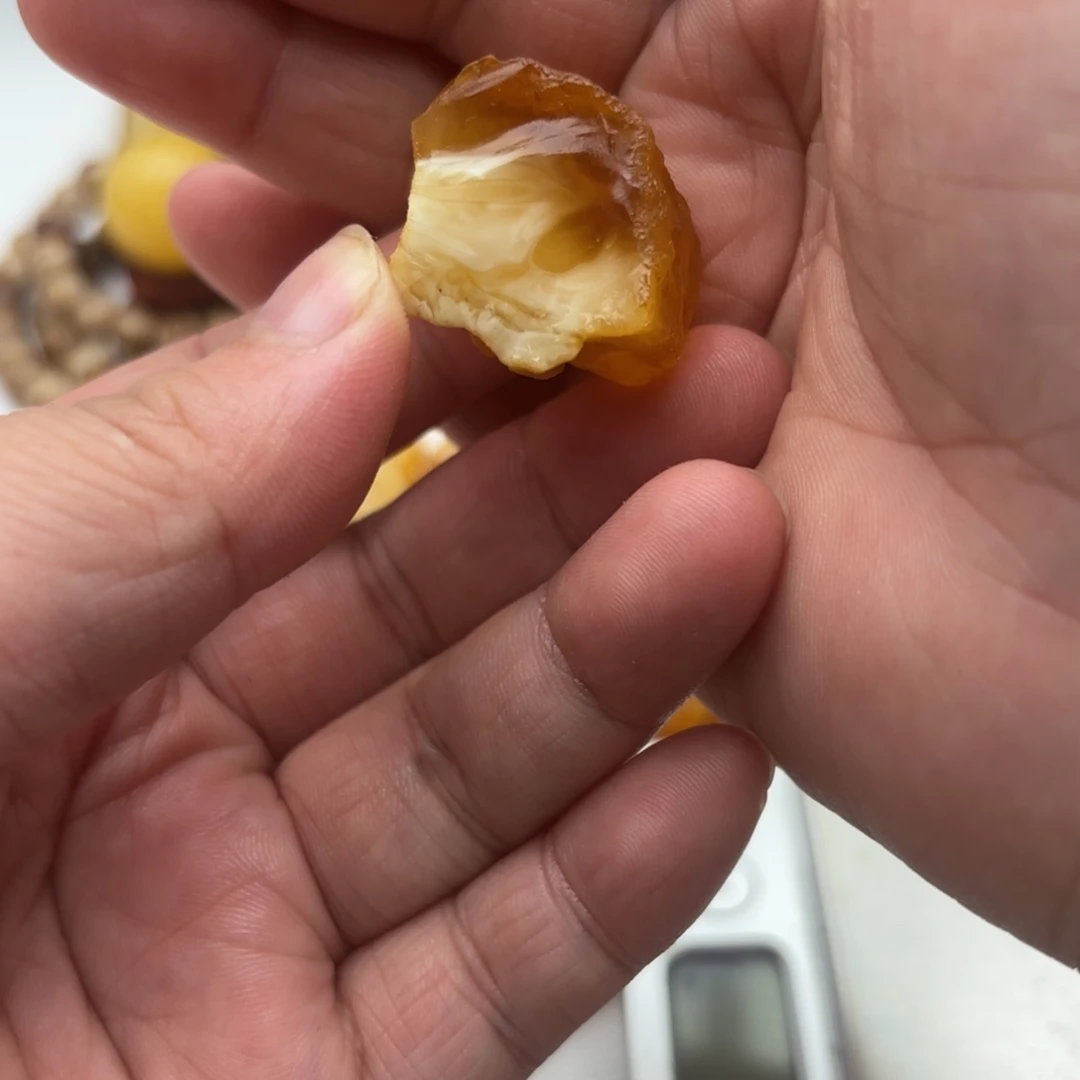 定制琥珀未镶嵌猫*