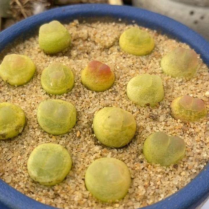 2340一组拉登一组