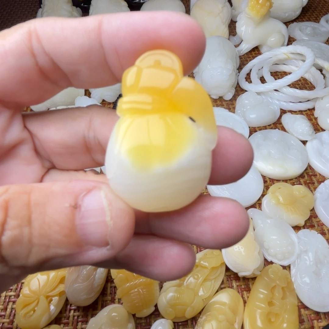 快***g贝壳非金属天然贝壳