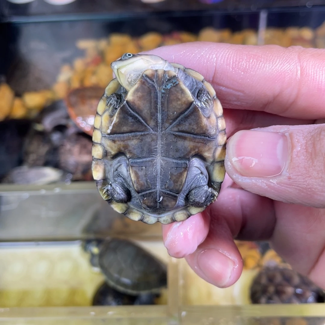 母我***·下点点滴滴的多