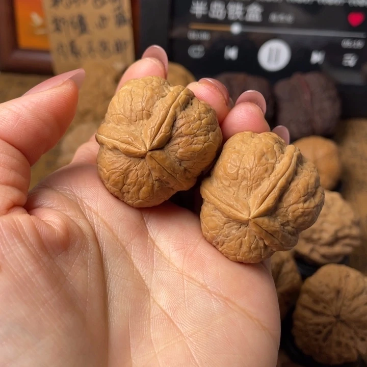 豆***精如图所示一物一拍编号57