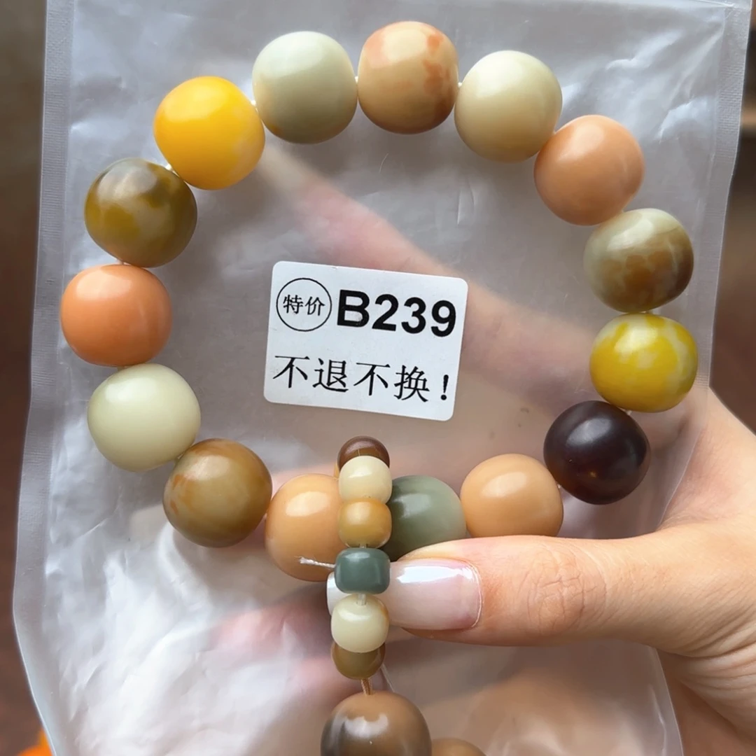 菩提根/象牙果手串B239大暇不退不换介意勿拍
