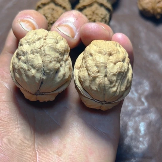 文玩核桃把件2号金蟾疙瘩包卡39