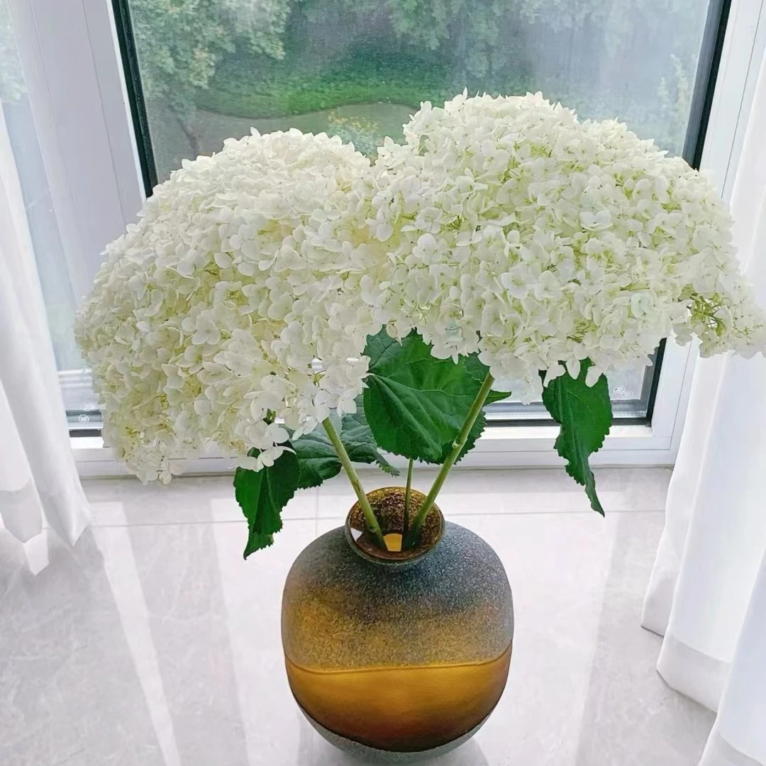 小头白色绣球花 4支  鲜切花 批发花店摆地摊直发一手货源