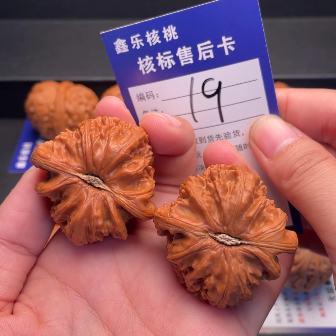 把件文玩核桃白狮子43尺