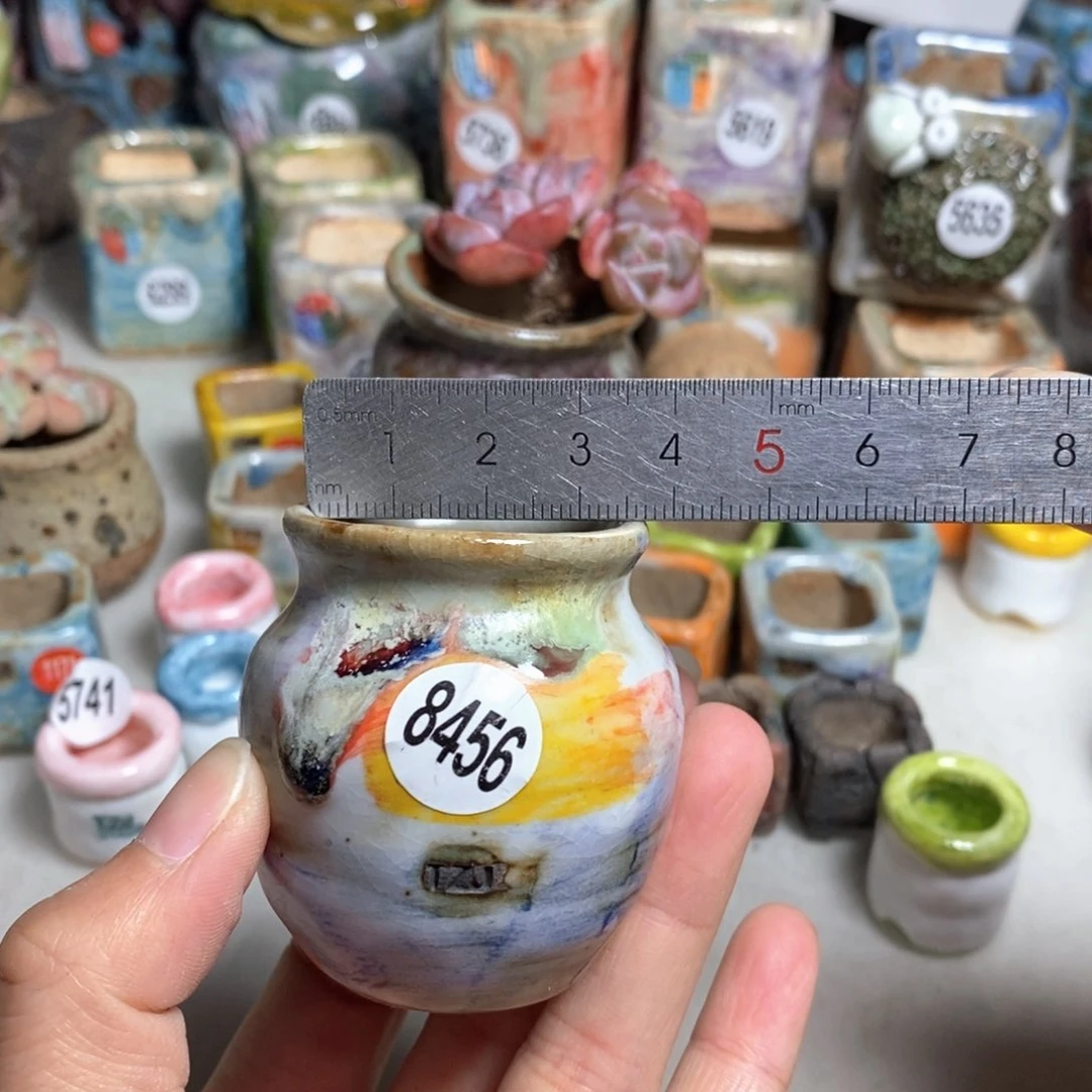 拍5送一个小礼物