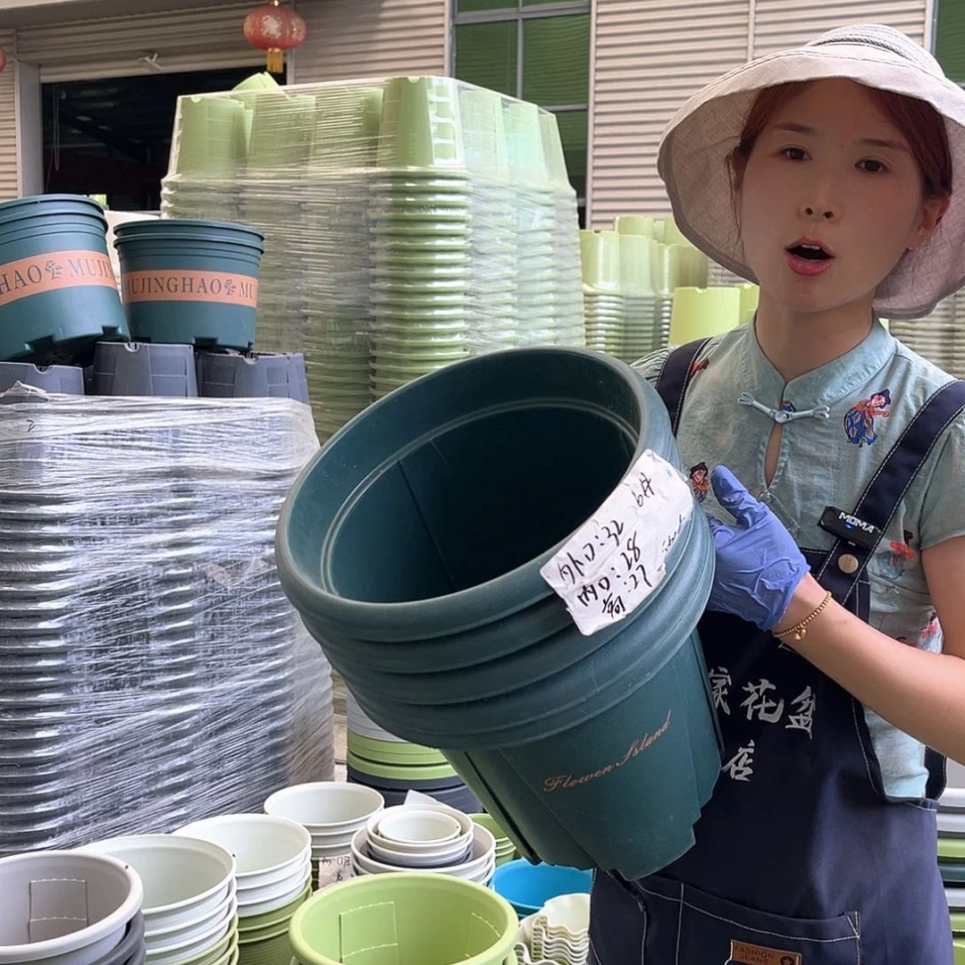 青山盆6#墨绿色5个无托