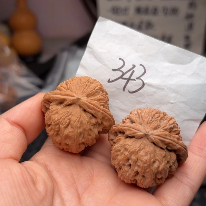 核桃395尺寸白狮子