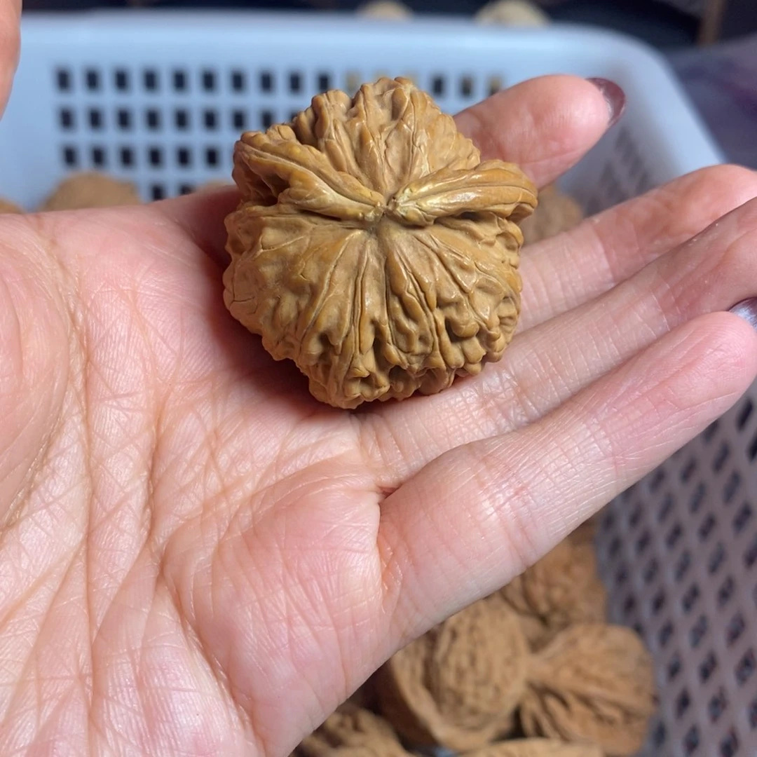 空***格文玩核桃把件文玩