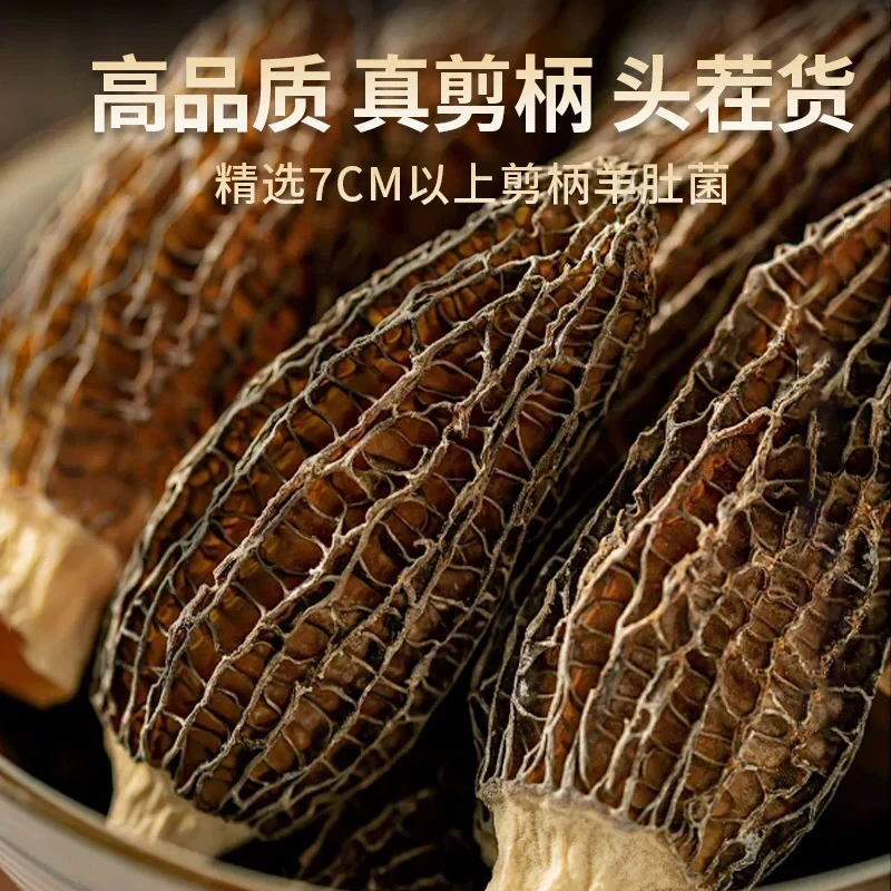 东福精品正宗羊肚菌