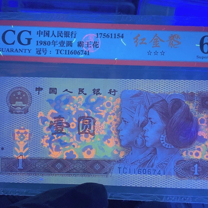 红金龙一张一张一张一张一张一