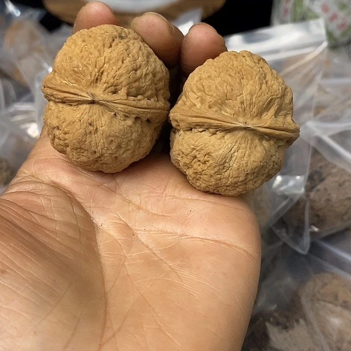 核桃云南铁核桃基地50