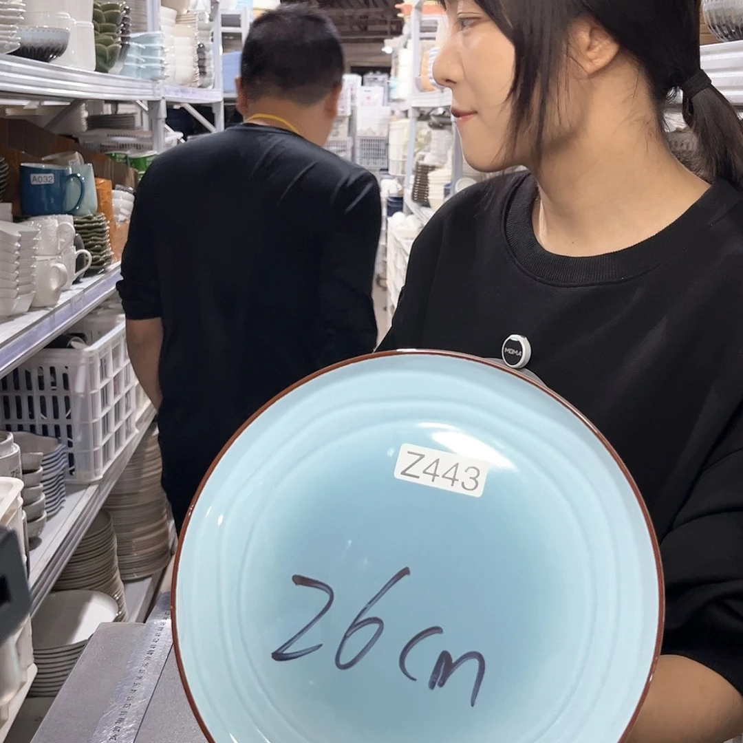 瓷片443            2个