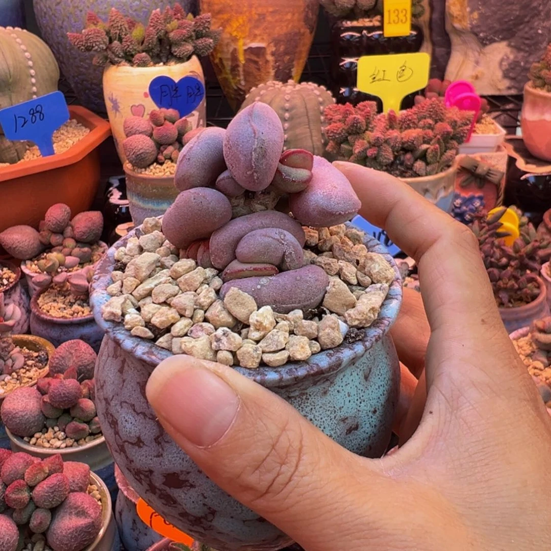 一组自拍，感谢支持