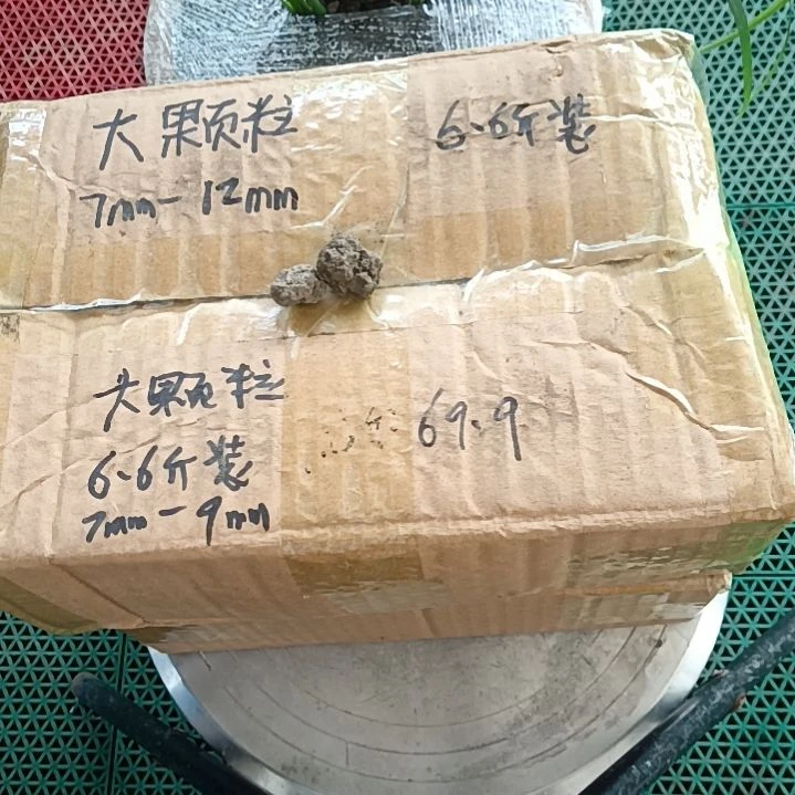 ****咚兰菌颗粒   大颗粒