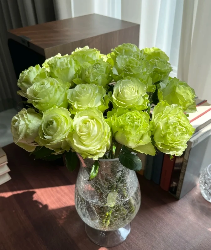 【新疆花之溪】小乔玫瑰