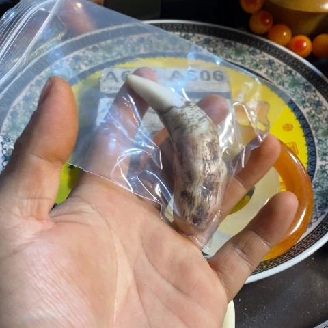 瓷片用****4寻呼台的一个小女孩在