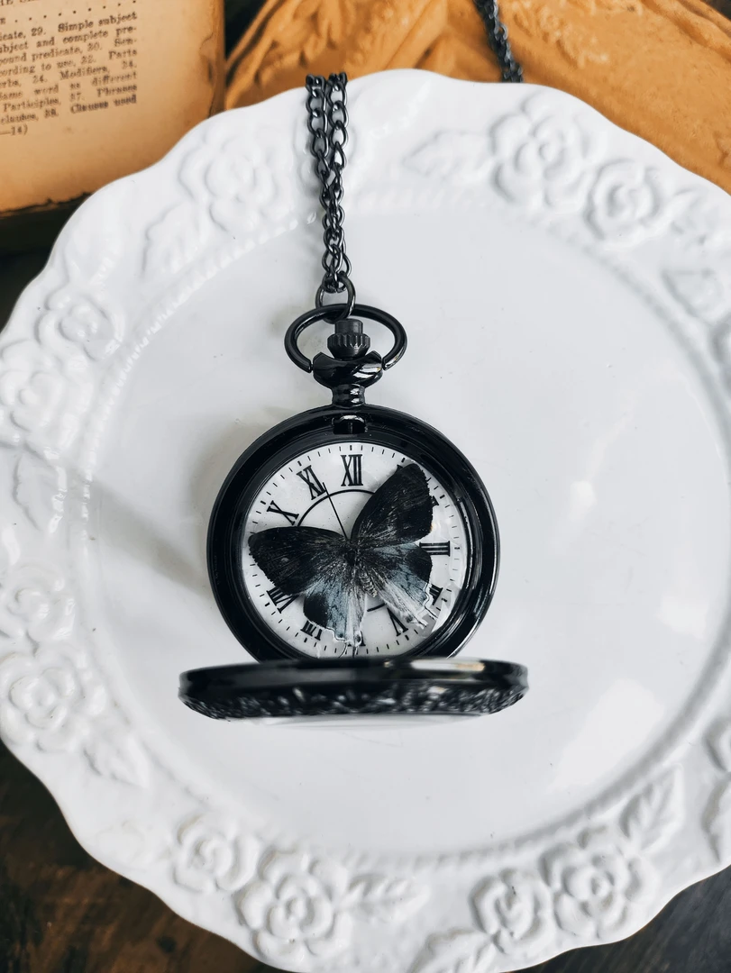 合金项链 infp小蝴蝶可走真蝴蝶标本手工制作送礼物情侣闺蜜朋友