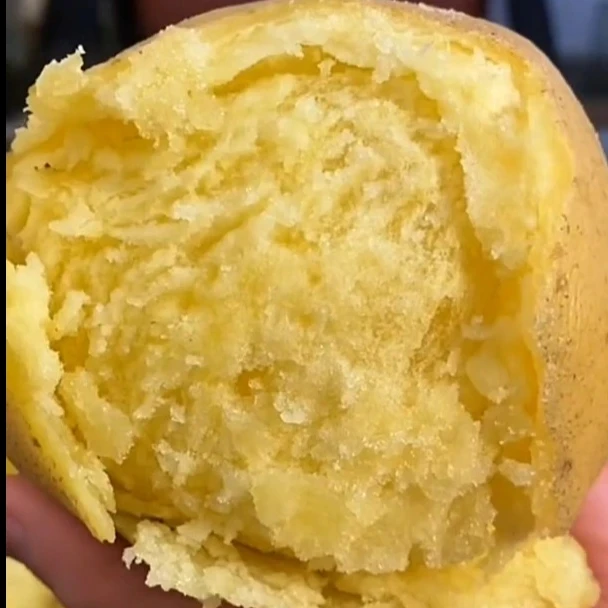 【正宗坝上沙皮黄心土豆】【爆面爆沙】土豆泥 薯条专用薯 黄心土豆 拍5斤送3斤 现挖现发限量100单！！
