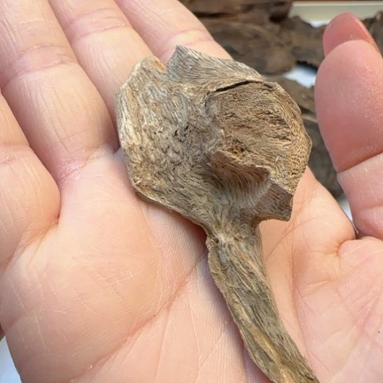 沉香摆件海南野生虎斑棋2.7克